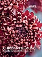 Algopix Similar Product 17 - Chrysanthemums Beautiful Varieties for