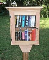 Algopix Similar Product 7 - Tiny Library with shelf handmade