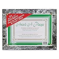 Algopix Similar Product 9 - Nudell Award Plaque 13 x 105 Black
