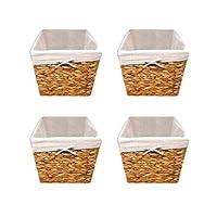 Algopix Similar Product 20 - Trademark Innovations 119 Hyacinth