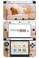 Algopix Similar Product 16 - Nintendogs Dogz Catz Game Skin for