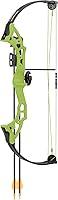Algopix Similar Product 11 - Bear Archery Brave Bow Set for Youth