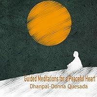 Algopix Similar Product 20 - Golden Orb A Healing Meditation