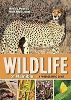 Algopix Similar Product 20 - Wildlife of Namibia