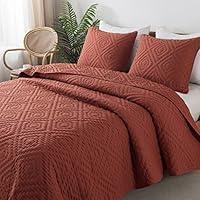 Algopix Similar Product 1 - RSHARE Burnt Orange Twin Size Quilt