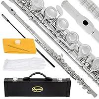 Algopix Similar Product 10 - Lazarro Professional Silver Nickel