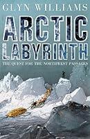 Algopix Similar Product 17 - Arctic Labyrinth The Quest for the