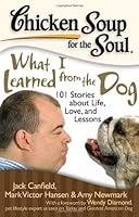 Algopix Similar Product 14 - Chicken Soup for the Soul What I