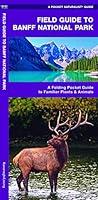 Algopix Similar Product 20 - Field Guide to Banff National Park A