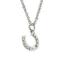 Algopix Similar Product 13 - Horseshoe necklace dainty western