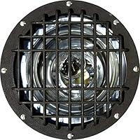 Algopix Similar Product 14 - Dabmar Lighting FG4310GRLMT