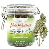 Algopix Similar Product 16 - Meowijuana  Dried Catnip Buds Jar 