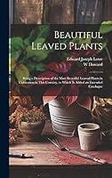 Algopix Similar Product 13 - Beautiful Leaved Plants Being a