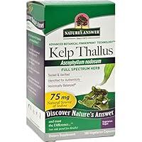 Algopix Similar Product 12 - Kelp Thallus