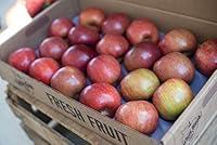 Algopix Similar Product 2 - York Apples Gift Box (18-22 Apples)