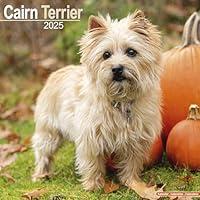 Algopix Similar Product 17 - Cairn Terrier Calendar 2025  Square