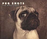 Algopix Similar Product 14 - Pug Shots