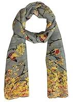 Algopix Similar Product 20 - World of Shawls New Ladies Womens