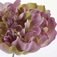 Algopix Similar Product 3 - Package of 12 Romantic Peony Floral