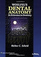 Algopix Similar Product 2 - Woelfels Dental Anatomy Its Relevance