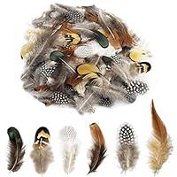 Algopix Similar Product 7 - 180pcs 6 Style Natural Feathers