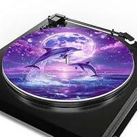 Algopix Similar Product 15 - Tkamaoui AntiStatic Turntable Record