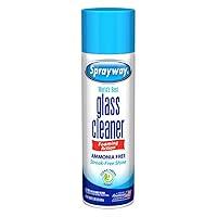 Algopix Similar Product 11 - Sprayway Glass Cleaner Aerosol Spray