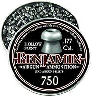 Algopix Similar Product 16 - Benjamin 14020 177Caliber Hollow