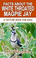 Algopix Similar Product 11 - Facts About the White Throated Magpie