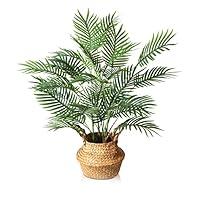 Algopix Similar Product 17 - SOGUYI Artificial Palm Tree 28 Inch