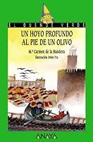 Algopix Similar Product 3 - Un hoyo profundo al pie de un olivo