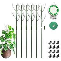 Algopix Similar Product 17 - Fetanten Monstera Plant Support 275