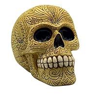 Algopix Similar Product 8 - Fantasy Gifts Bone Colored Day of the
