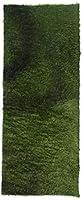 Algopix Similar Product 16 - Exo Terra Moss Mat Reptile Terrarium