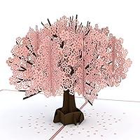 Algopix Similar Product 8 - Lovepop Cherry Blossom Pop Up Card