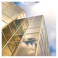 Algopix Similar Product 3 - BDF PRGD Window Film Premium Color High