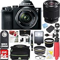 Algopix Similar Product 12 - Sony Alpha 7K Mirrorless EMount Camera