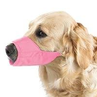 Algopix Similar Product 17 - Guardian Gear Nylon Lined Fashion Dog