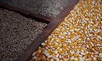 Algopix Similar Product 14 - Southern Boy stills 2298543 10 lb