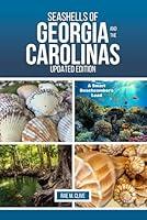 Algopix Similar Product 1 - SEASHELLS OF GEORGIA AND THE CAROLINAS