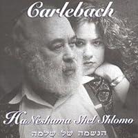 Algopix Similar Product 19 - Ha Neshama Shel Shlomo