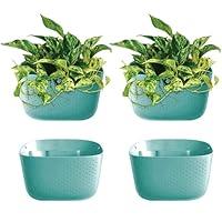 Algopix Similar Product 6 - WallyGrow Eco Wall Planter Create a