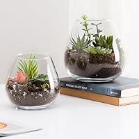Algopix Similar Product 13 - Set of 2 Decorative Modern Round Clear