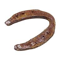 Algopix Similar Product 9 - Lucky Horseshoe Used