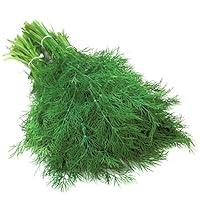 Algopix Similar Product 6 - Dill Hera  Certified Organic Herb Seed