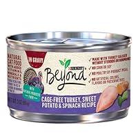 Algopix Similar Product 6 - Purina Beyond CageFree Turkey Sweet