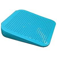Algopix Similar Product 18 - FitPAWS Ramp, Aqua