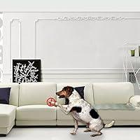 Algopix Similar Product 2 - penobon Pet Training Mat Shock Mats