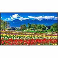 Algopix Similar Product 20 - NEC M751 75 Led Lcd Uhd 247 500nits