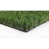 Algopix Similar Product 20 - GREENLINE Classic 54 Fescue 15 ft x